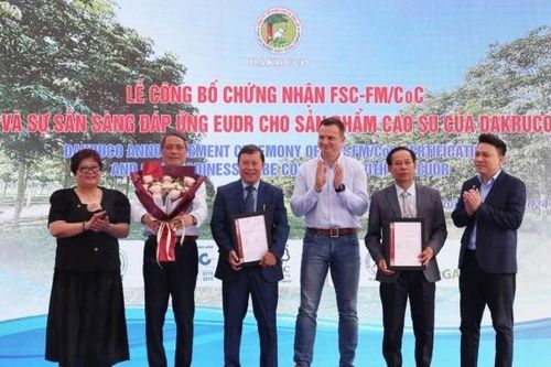 Dakruco được cấp chứng nhận FSC với trách nhiệm quản lý rừng bền vững