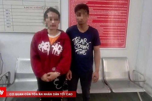 Nữ 'đạo chích' dây điện cùng đồng phạm sa lưới
