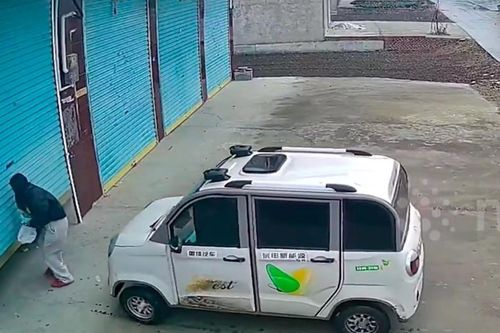 Người mẹ trẻ bị xe tông vì lỗi sơ đẳng khi đưa xe vào gara