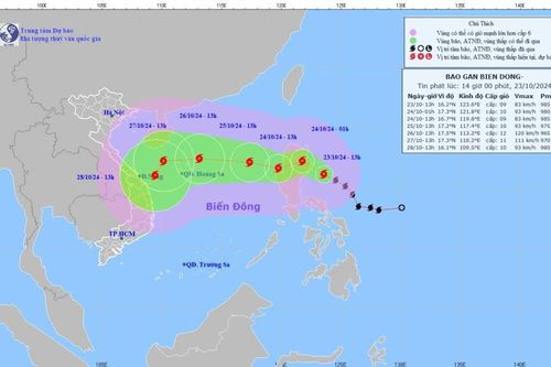 Yêu cầu hãng hàng không có phương án điều chỉnh lịch bay do ảnh hưởng bão Trami