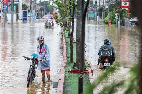 Bão Trami gây ngập lụt và mất điện diện rộng tại Philippines