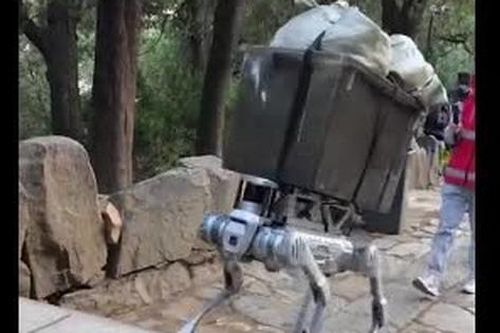 Chó robot khuân vác mang đồ cho khách du lịch ở Trung Quốc