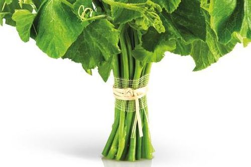 Đừng chỉ ăn quả, lá loại cây này quý như 'nhân sâm người nghèo' ở chợ bán rẻ như cho