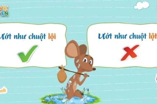 Lỗi sai trong câu thành ngữ 'Ướt như chuột lột' mà chưa chắc học sinh giỏi Văn đã phát hiện ra