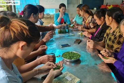 Thúc đẩy cung cầu dựa trên tiềm năng, thế mạnh của vùng cao