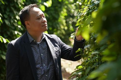 Vàng ròng từ nông nghiệp bền vững