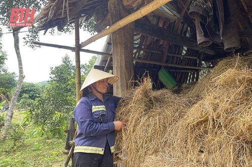 Chuẩn bị các điều kiện để bảo vệ đàn vật nuôi trong mùa lạnh