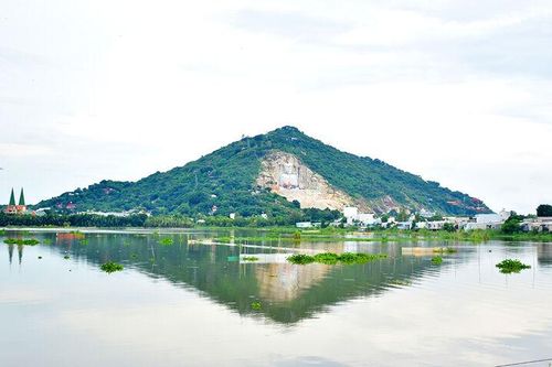Về miền nước nổi