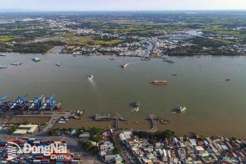 3 phương án hướng tuyến cho Dự án Cầu Cát Lái được đề xuất là những hướng tuyến nào?