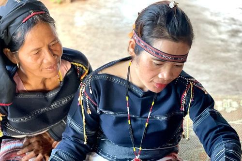 Xét tặng danh hiệu Nghệ nhân Nhân dân, Nghệ nhân Ưu tú trong lĩnh vực di sản văn hóa phi vật thể tại Gia Lai