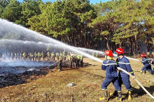 Triển khai Quy hoạch lâm nghiệp quốc gia: Nhiều vướng mắc cần tháo gỡ