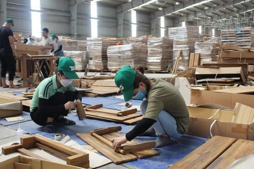 Truy xuất nguồn gốc gỗ là nhiệm vụ cấp thiết khi hội nhập quốc tế
