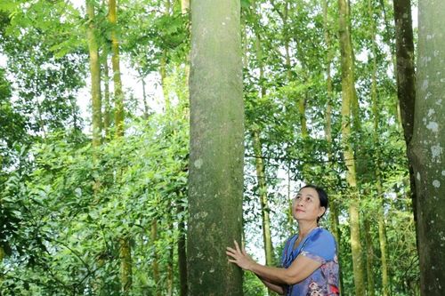 Dự án 8 và nhiều phong trào thi đua sôi nổi ở Xuân Giao