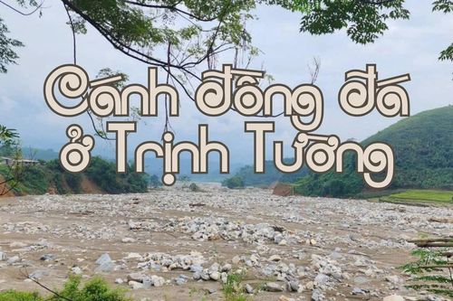 Cánh đồng 'đá' ở Trịnh Tường
