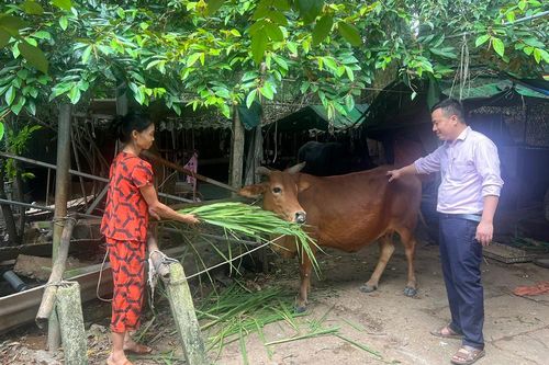 Vượt khó thoát nghèo