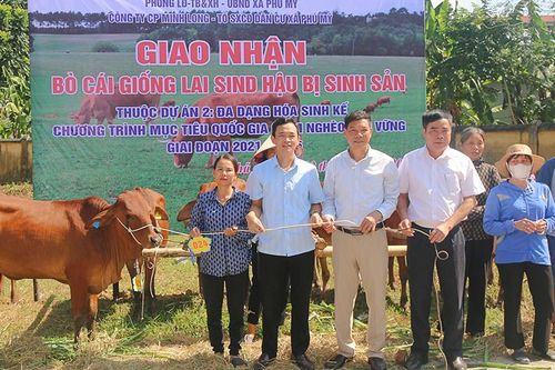 Giao nhận bò giống cho Tổ sản xuất cộng đồng dân cư xã Phú Mỹ