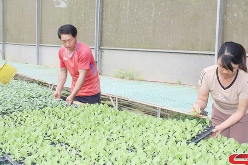 Đồng hành, giúp nông dân sản xuất hiệu quả