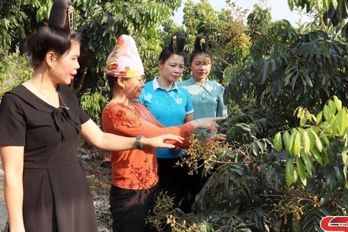 Chiềng Cang phấn đấu giảm nghèo bền vững