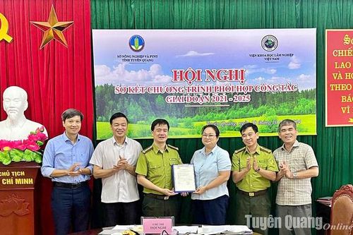 Tuyên Quang được cấp mã số vùng trồng rừng