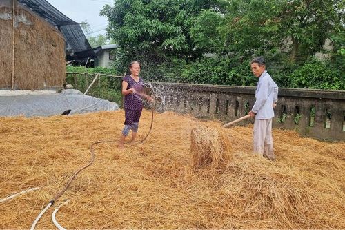 Sức già vượt khó