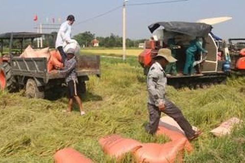 Mong xây dựng sớm nhà bia Chiến thắng Thanh Hương