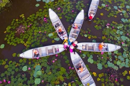 Đa dạng hoạt động trong Tuần Văn hóa - Thể thao - Du lịch Long An