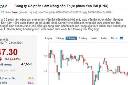 Cổ phiếu của doanh nghiệp vàng mã duy nhất trên sàn 'trượt dài' theo kết quả kinh doanh