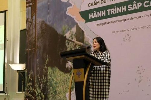 Hành trình chấm dứt nuôi nhốt gấu tại Việt Nam sắp cán đích