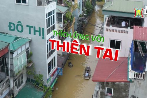 Đô thị thích ứng với thiên tai