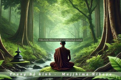 Đức Thế Tôn dạy nhận biết và đoạn khổ, không dạy về lý luận siêu thực