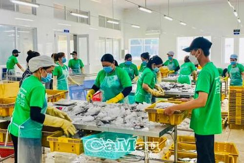 Thúc đẩy chuyển đổi số trong doanh nghiệp SME