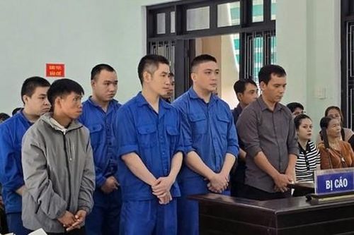 Cán bộ kiểm lâm và lâm tặc vận chuyển, mua bán gỗ lậu từ vườn quốc gia