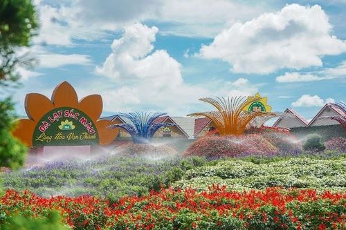 Top 3 làng hoa không thể bỏ qua khi đến Đà Lạt