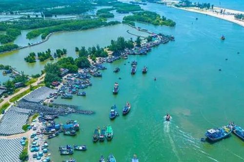 Có một bến tàu không số ở Bà Rịa - Vũng Tàu