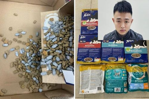 Hơn 2kg ma túy tổng hợp lẫn trong thức ăn cho chó, mèo