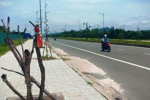 Nguy hiểm rình rập, xấu xí cảnh quan
