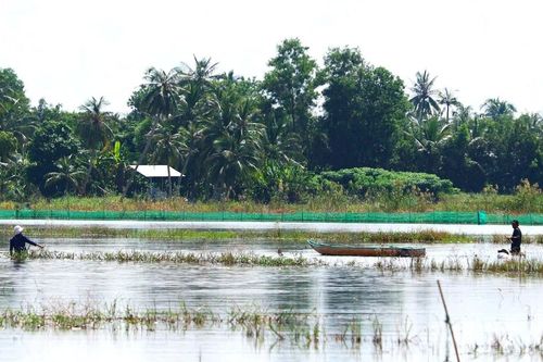 Sống khỏe mùa nước nổi