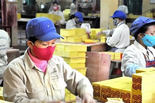 Công ty bán vàng mã lãi 31 tỷ