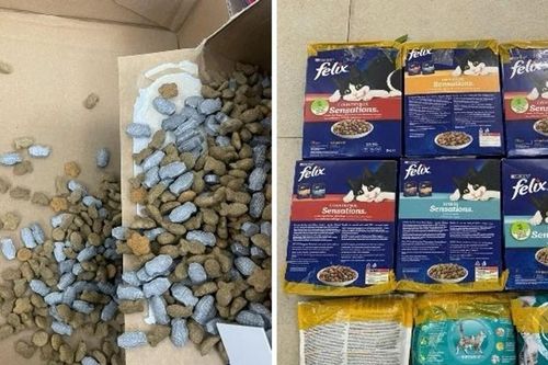 Triệt phá đường dây vận chuyển trái phép chất ma túy, giấu trong thức ăn chó, mèo từ nước ngoài về Việt Nam