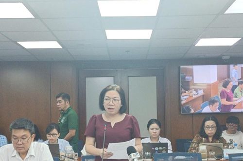 TP HCM: Xóa nhà tạm, nhà dột nát với hộ nghèo, hộ cận nghèo