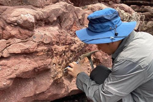 Hồng Kông (Trung Quốc) lần đầu phát hiện hóa thạch khủng long