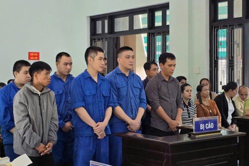 Cán bộ kiểm lâm câu kết nhóm 'lâm tặc' khai thác, mua bán gỗ lậu