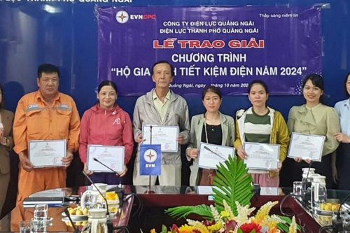 Thành công từ chương trình 'Hộ gia đình tiết kiệm điện năm 2024'