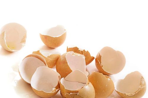 Nhóm tác giả Trường ĐH Cần Thơ dùng bột vỏ trứng làm tá dược cho thuốc viên