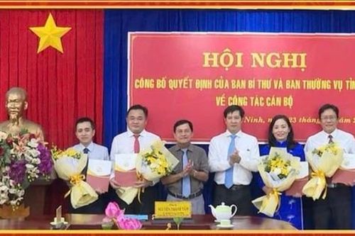 Công bố quyết định của Ban Bí thư Trung ương Đảng về công tác cán bộ