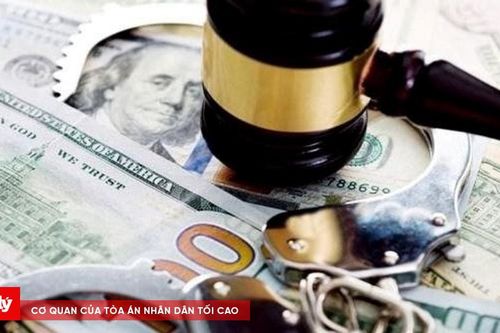 'Toàn cà chua' lừa đảo bằng chiêu trò 'chạy án'