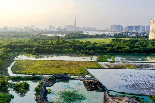 TPHCM cho phép xây công trình trên đất nông nghiệp, diện tích tối đa 50m2