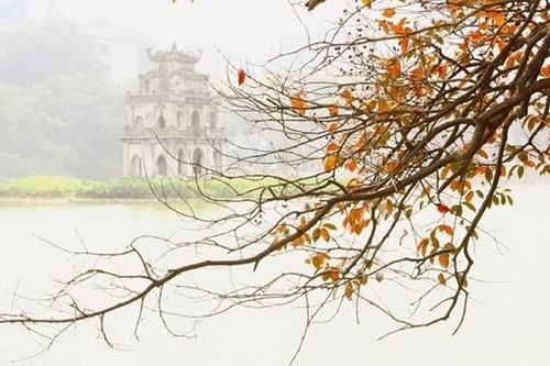 Câu thơ trên cỏ hay lòng người dưng