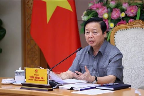 Lựa chọn 'đúng và trúng' dự án cấp bách cho Đồng bằng sông Cửu Long