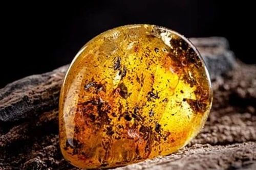 Nhặt bừa cục đá về chặn cửa suốt mấy thập kỷ, hóa ra là kho báu trị giá 27 tỷ đồng